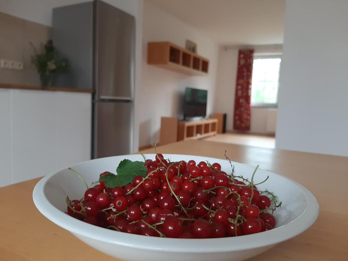 Apartman Dvorak 194 Pod Svatou Horou Pribram Luaran gambar