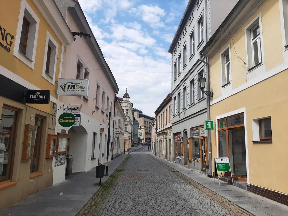 Apartman Dvorak 194 Pod Svatou Horou Pribram Luaran gambar