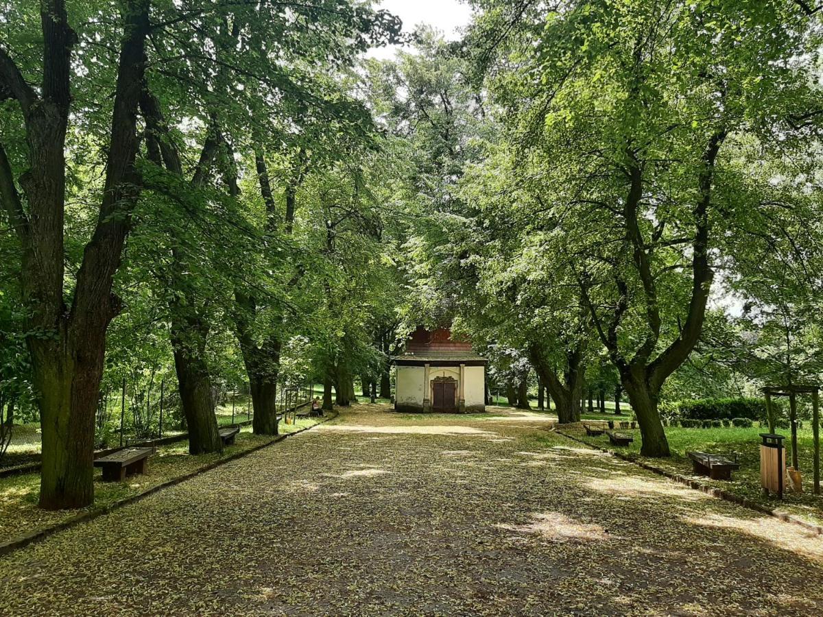 Apartman Dvorak 194 Pod Svatou Horou Pribram Luaran gambar