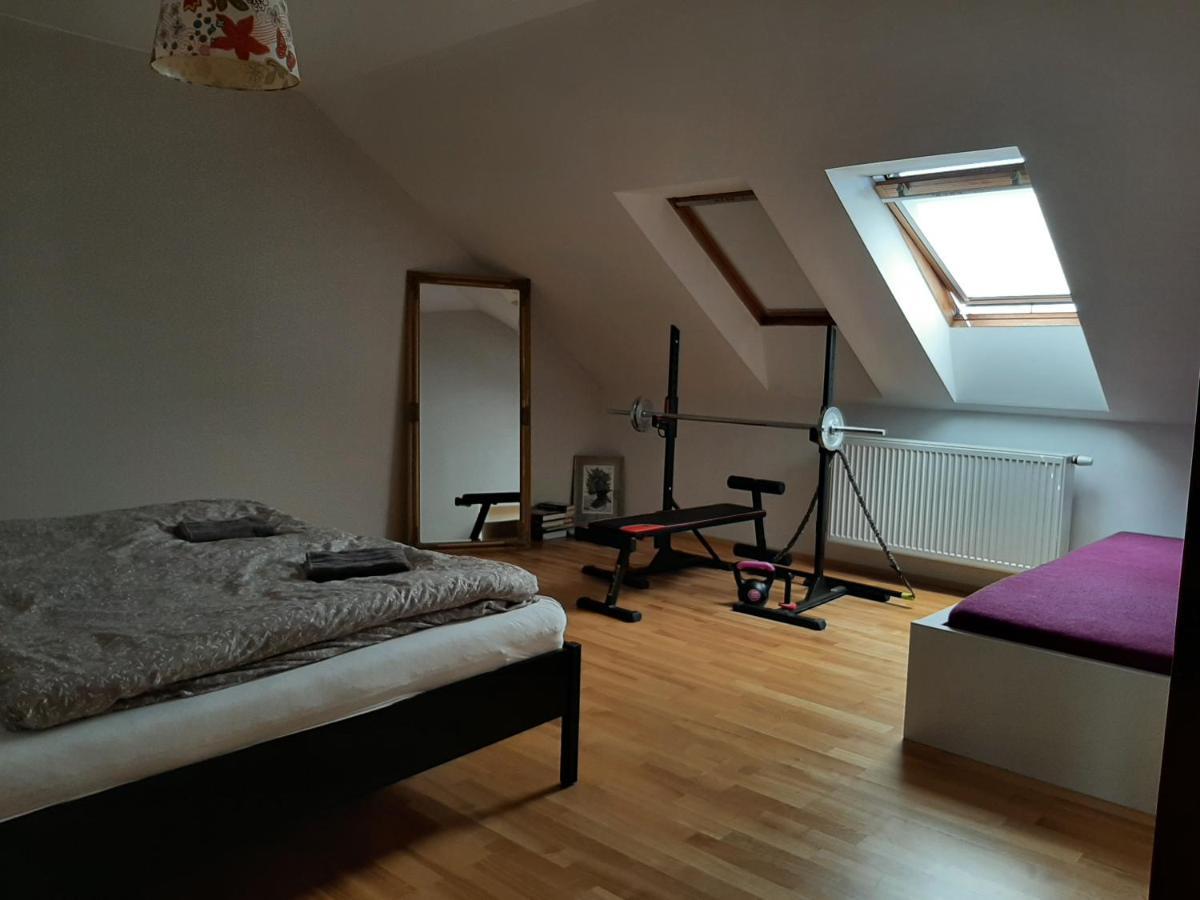 Apartman Dvorak 194 Pod Svatou Horou Pribram Luaran gambar